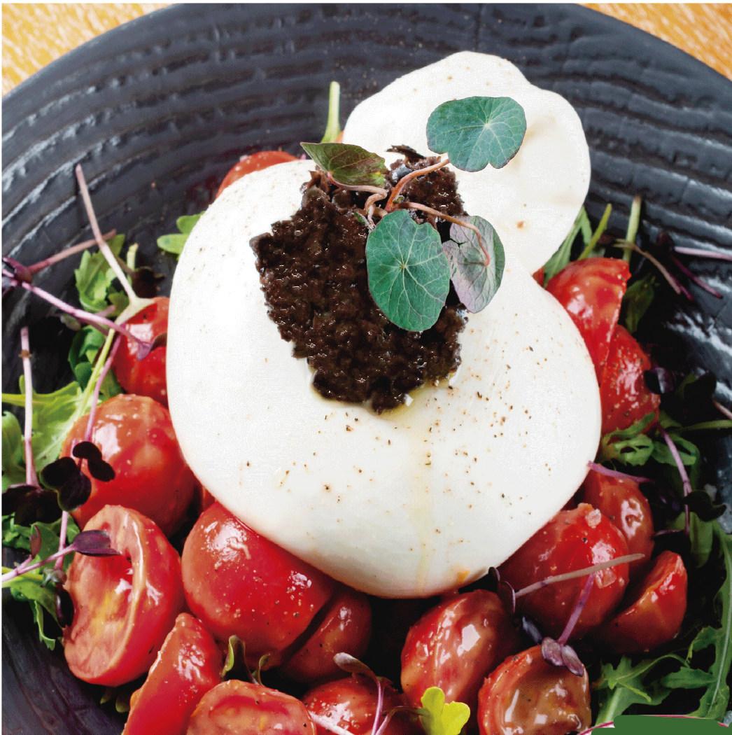 Burrata with mix of tomatoes and greek olives